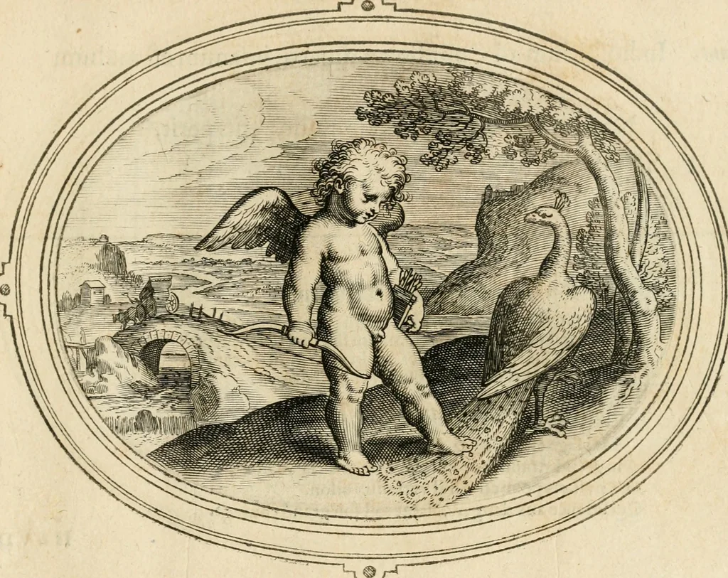 An illustration from Amorum emblemata, figuris aeneis incisa, 1608, leaf 214