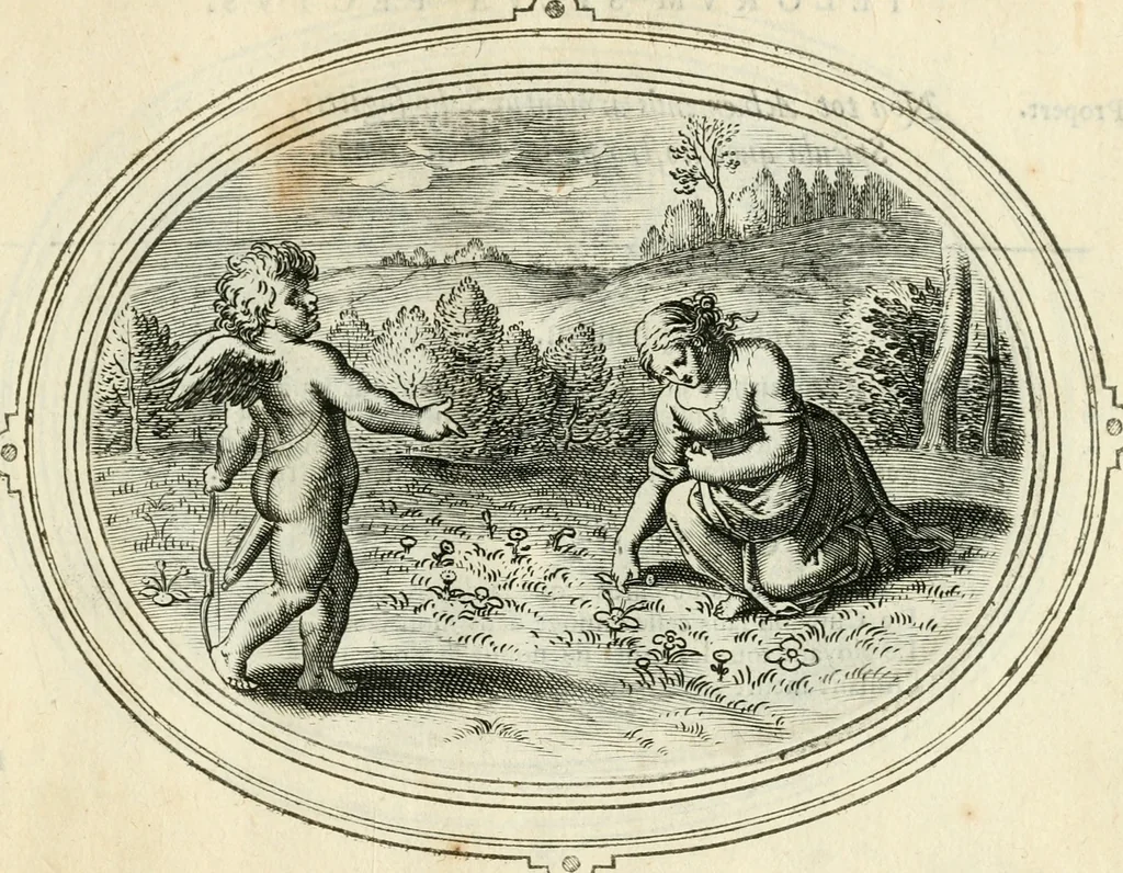 An illustration from Amorum emblemata, figuris aeneis incisa, 1608, leaf 232