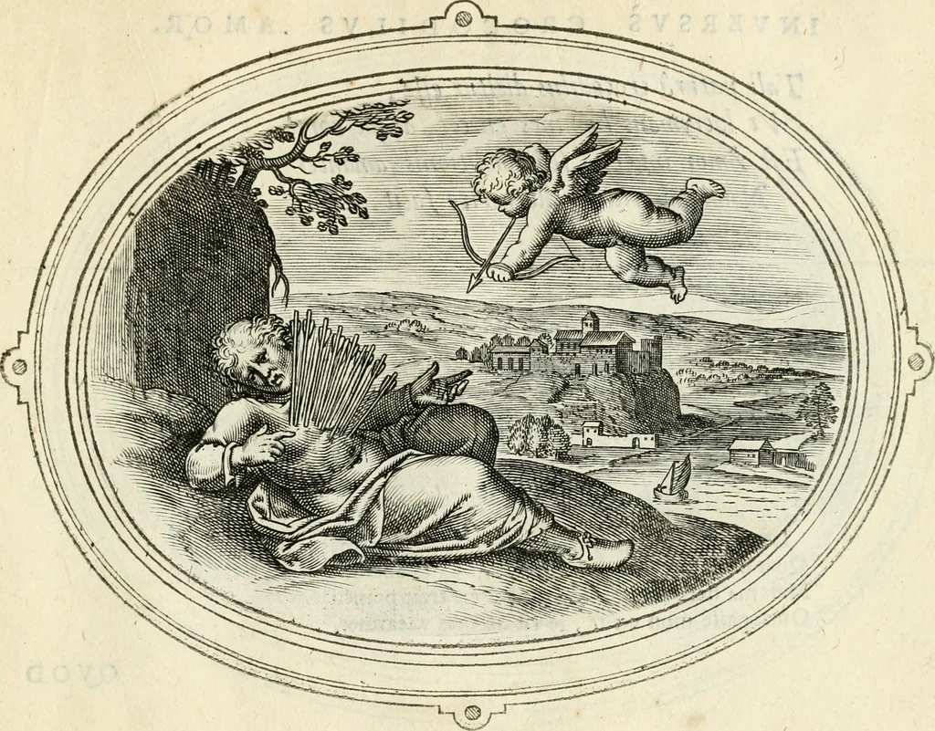 An illustration from Amorum emblemata, figuris aeneis incisa, 1608, leaf 234