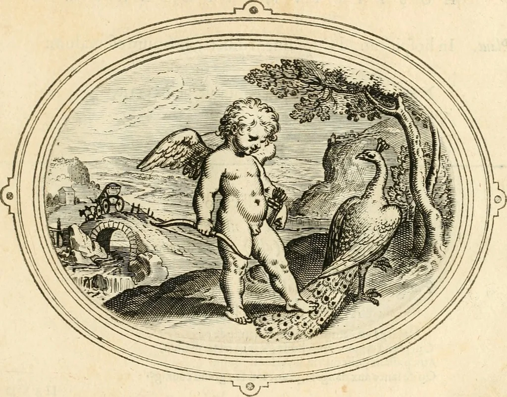 An illustration from Amorum emblemata, figuris aeneis incisa, 1608, leaf 216