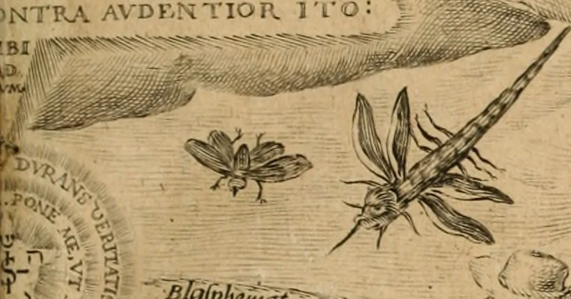 An illustration from Amphitheatrvm sapientiae aeternae : solius verae, christiano-kabalisticvm, divino-magicvm, nec non physico-chymicvm, tertrivnvm, catholicon, 1609, leaf 12