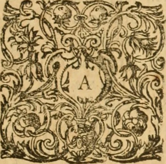 An illustration from Amphitheatrvm sapientiae aeternae : solius verae, christiano-kabalisticvm, divino-magicvm, nec non physico-chymicvm, tertrivnvm, catholicon, 1609, leaf 308