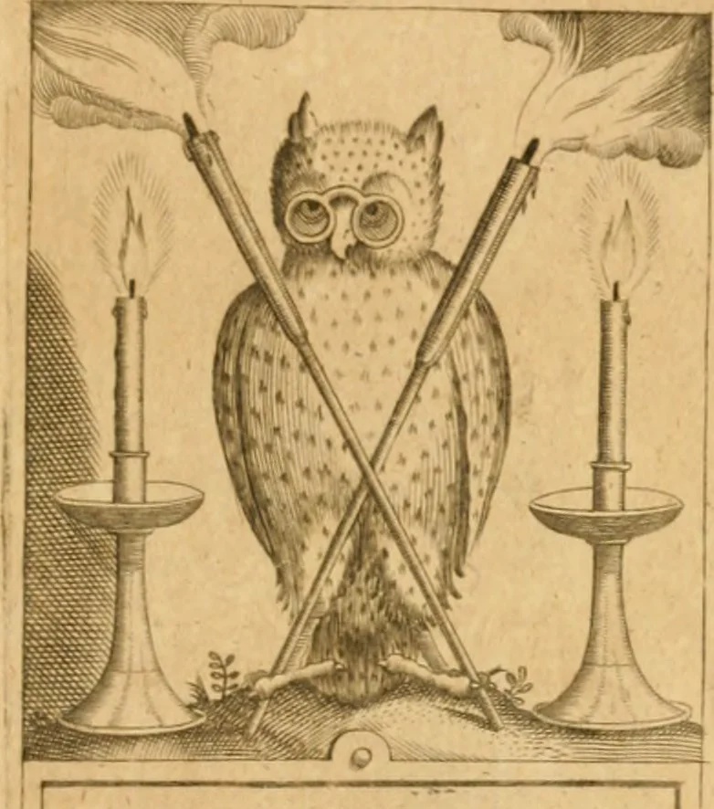 An illustration from Amphitheatrvm sapientiae aeternae : solius verae, christiano-kabalisticvm, divino-magicvm, nec non physico-chymicvm, tertrivnvm, catholicon, 1609, leaf 318
