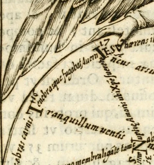 An illustration from Ampla et diligente relatione de gli honori fatti al cuore di San Carlo : per lettera scritta all'illustrissimo sig. conte Carlo Borromeo, nipote del santo, 1614, leaf 48