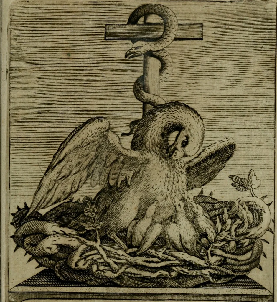 An illustration from Amstelredams eer ende opcomen, : door de denckwaerdighe miraklen aldaer gescheid, aen ende door het H. Sacrement des altaers. Anno 1345, 1639, leaf 204