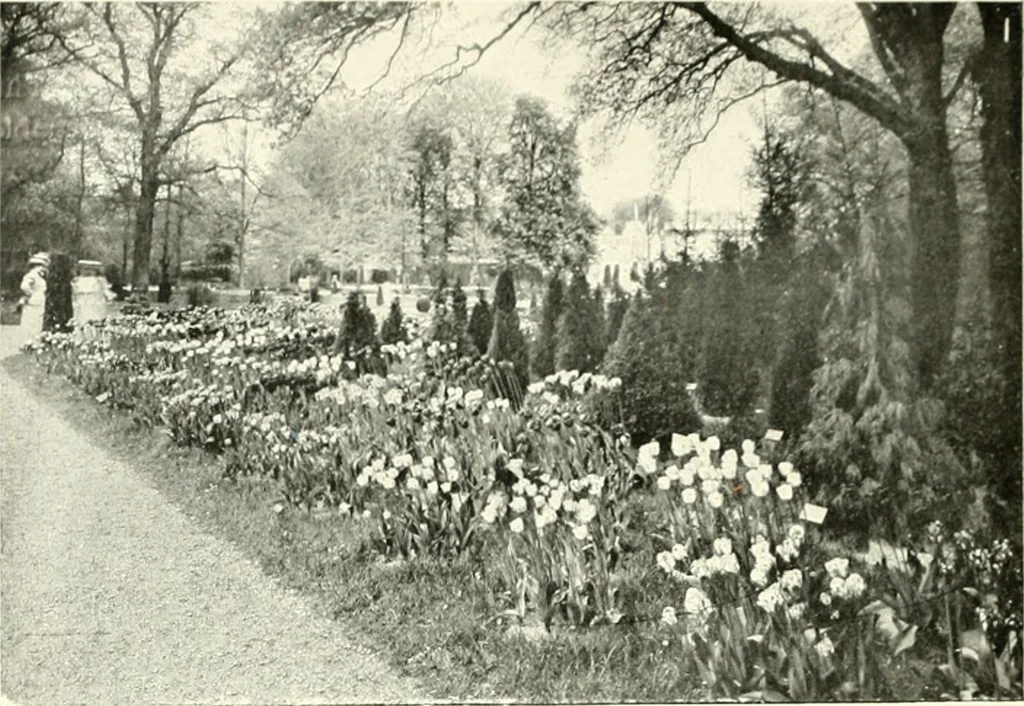 An illustration from Amsterdam et Harlem, 1913, leaf 159
