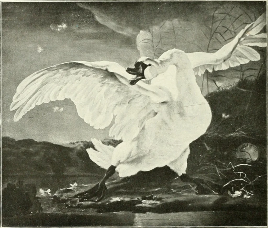 An illustration from Amsterdam et Harlem, 1913, leaf 39