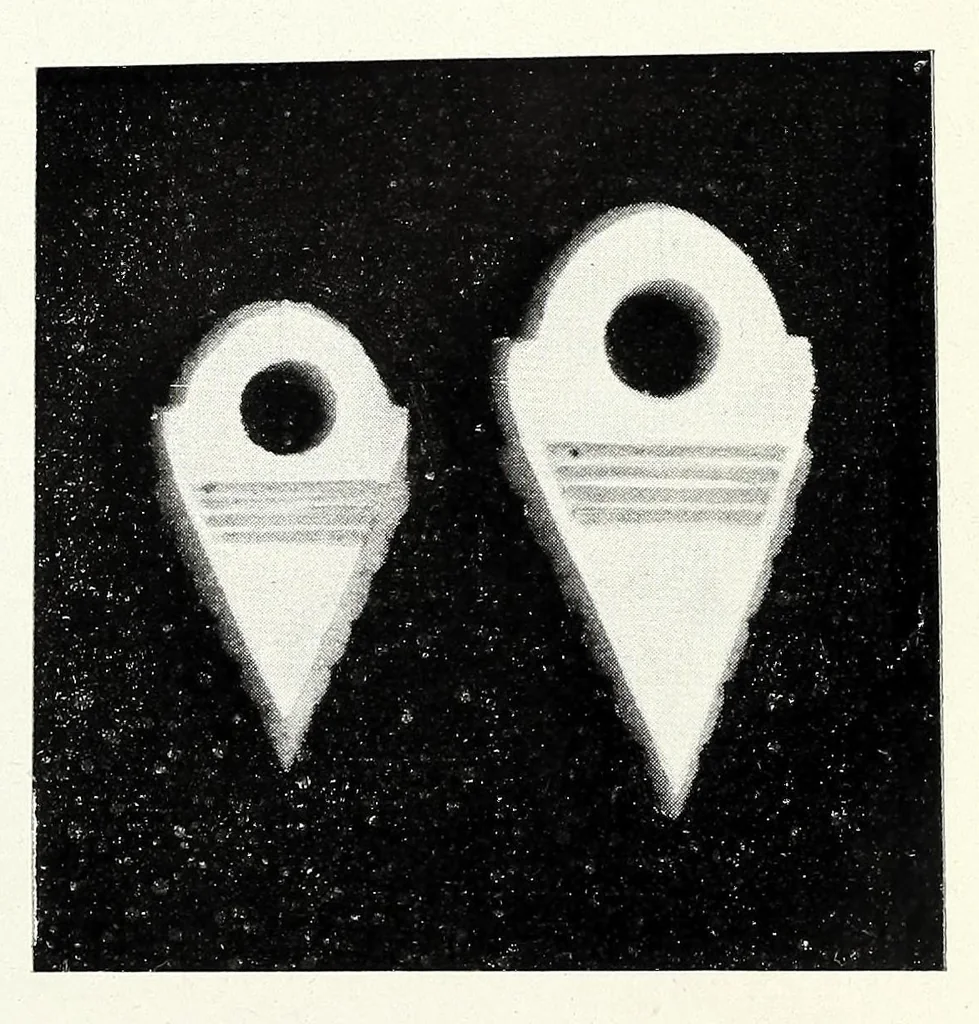 An illustration from Amuleti ed ornamenti con simboli magici della Libia : con otto tavole illustrative, 1915, leaf 53