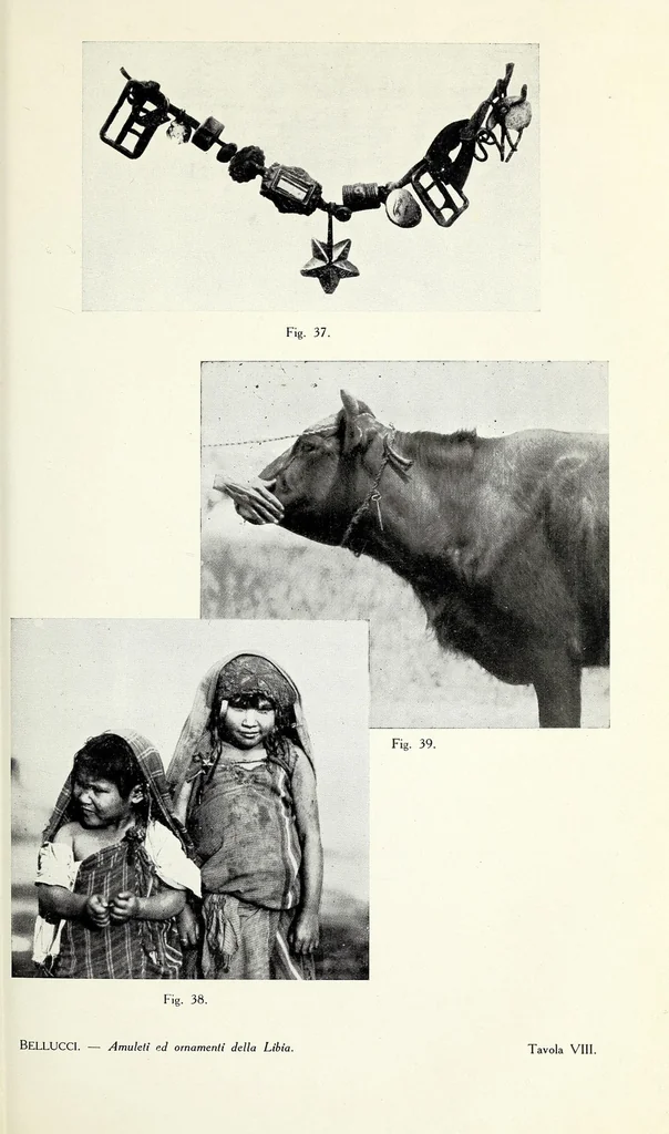 An illustration from Amuleti ed ornamenti con simboli magici della Libia : con otto tavole illustrative, 1915, leaf 55