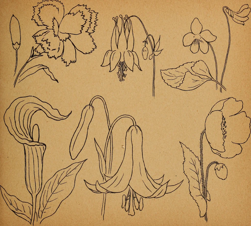 An illustration from Amusement for little children; drawing and tracing book .., 1898, leaf 60