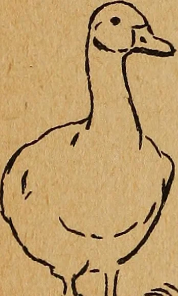 An illustration from Amusement for little children; drawing and tracing book .., 1898, leaf 77