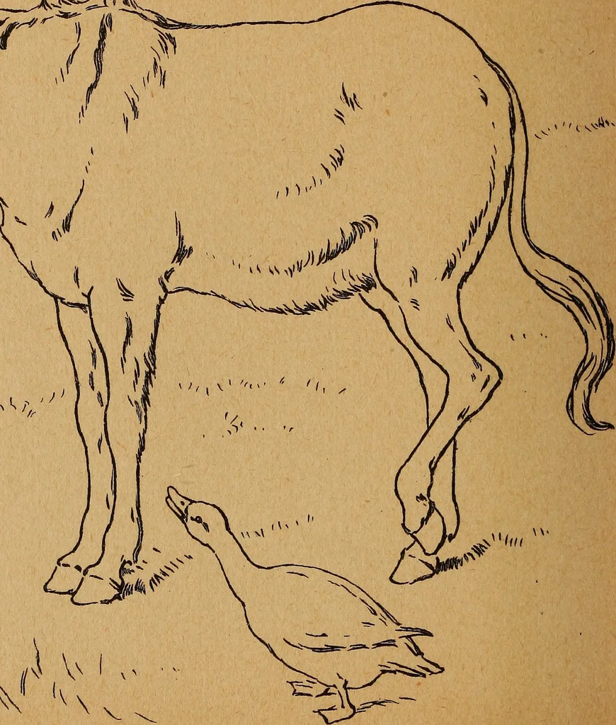 An illustration from Amusement for little children; drawing and tracing book .., 1898, leaf 77