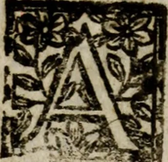 An illustration from Amvlio, e Nvmitore: drama per musica, 1689, leaf 9