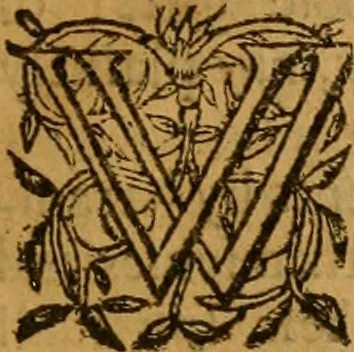 An illustration from Anabaptismes mysterie of iniquity unmasked, with rules of comfort for a wounded spirit .., 1622, leaf 116