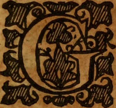 An illustration from Anabaptism routed, or, A survey of the controverted points ... : together with a particular answer to all that is addeadged in favour of the Anabaptists, by Dr. Jer. Taylor, in his book, called, The liberty of prophesying, 1655, leaf 16