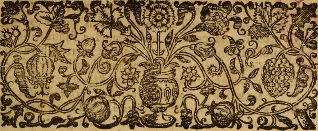 An illustration from Anabaptism routed, or, A survey of the controverted points ... : together with a particular answer to all that is addeadged in favour of the Anabaptists, by Dr. Jer. Taylor, in his book, called, The liberty of prophesying, 1655, leaf 24