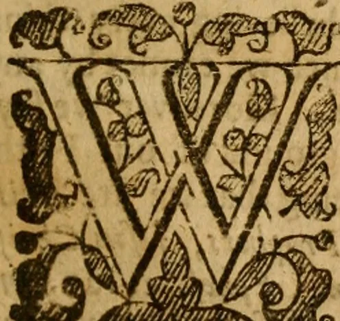 An illustration from Anabaptism routed, or, A survey of the controverted points ... : together with a particular answer to all that is addeadged in favour of the Anabaptists, by Dr. Jer. Taylor, in his book, called, The liberty of prophesying, 1655, leaf 24