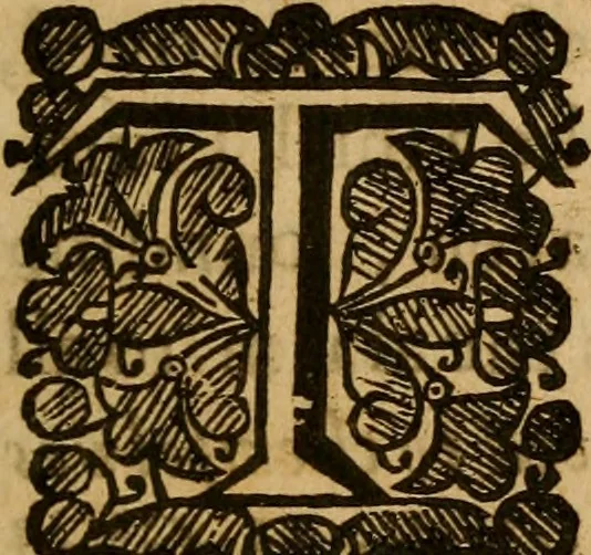 An illustration from Anabaptism routed, or, A survey of the controverted points ... : together with a particular answer to all that is addeadged in favour of the Anabaptists, by Dr. Jer. Taylor, in his book, called, The liberty of prophesying, 1655, leaf 8