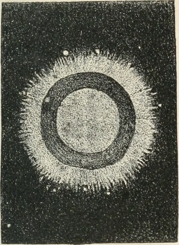 An illustration from Analyse spectrale des corps célestes. Traduit de l'anglais par l'abbé Moigno, 1866, leaf 40