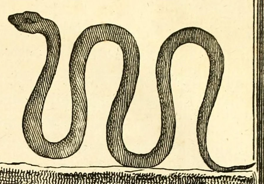 An illustration from A new system, or, An analysis of ancient mythology : wherein an attempt is made to divest tradition of fable, and to reduce the truth to its original purity ..., 1774, leaf 519
