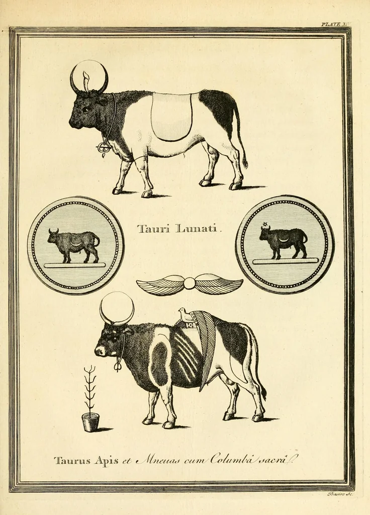 An illustration from A new system, or, An analysis of ancient mythology : wherein an attempt is made to divest tradition of fable, and to reduce the truth to its original purity ..., 1774, leaf 471