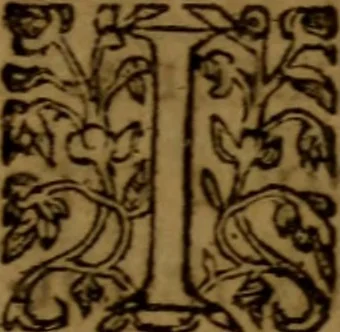 An illustration from Analysis logica in Epistolam ad Hebraeos, 1610, leaf 246