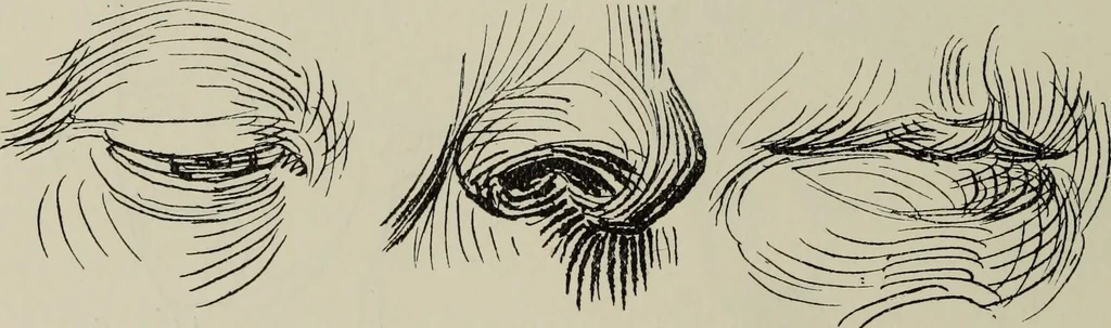 An illustration from Analysis of drawing, painting and composing, 1904, leaf 103