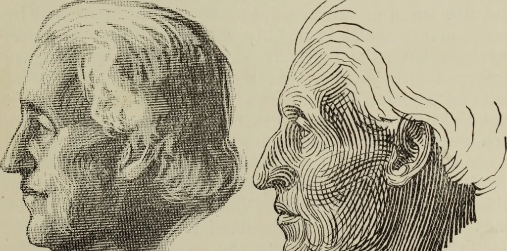 An illustration from Analysis of drawing, painting and composing, 1904, leaf 104