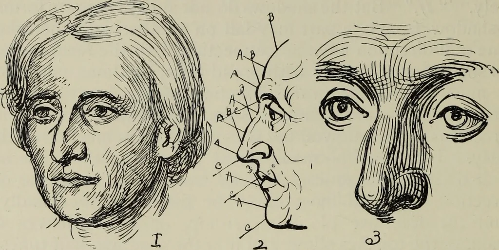 An illustration from Analysis of drawing, painting and composing, 1904, leaf 105