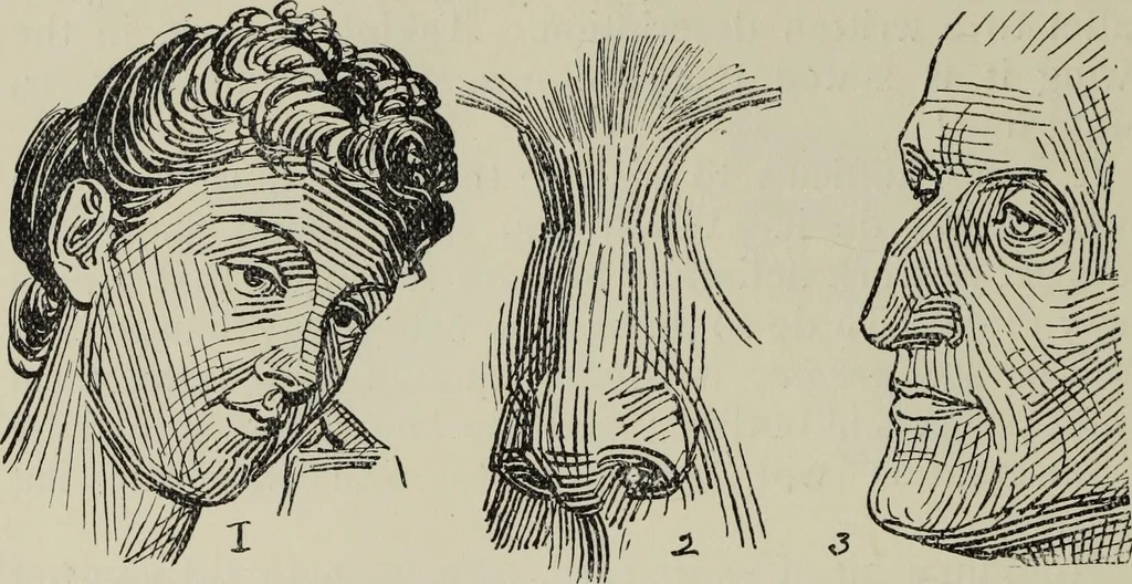 An illustration from Analysis of drawing, painting and composing, 1904, leaf 107