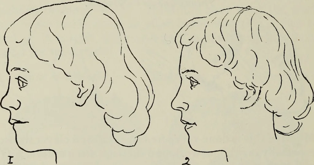 An illustration from Analysis of drawing, painting and composing, 1904, leaf 111