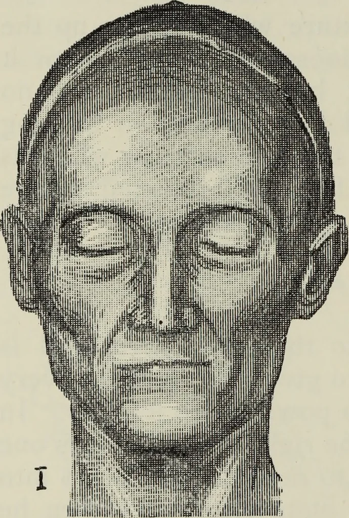 An illustration from Analysis of drawing, painting and composing, 1904, leaf 113