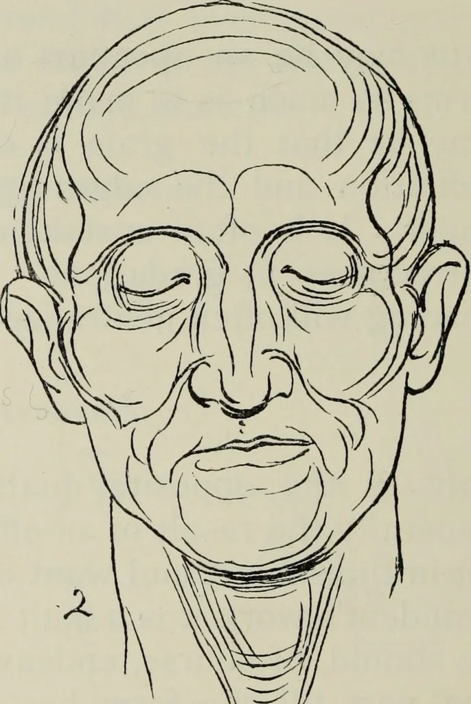 An illustration from Analysis of drawing, painting and composing, 1904, leaf 113