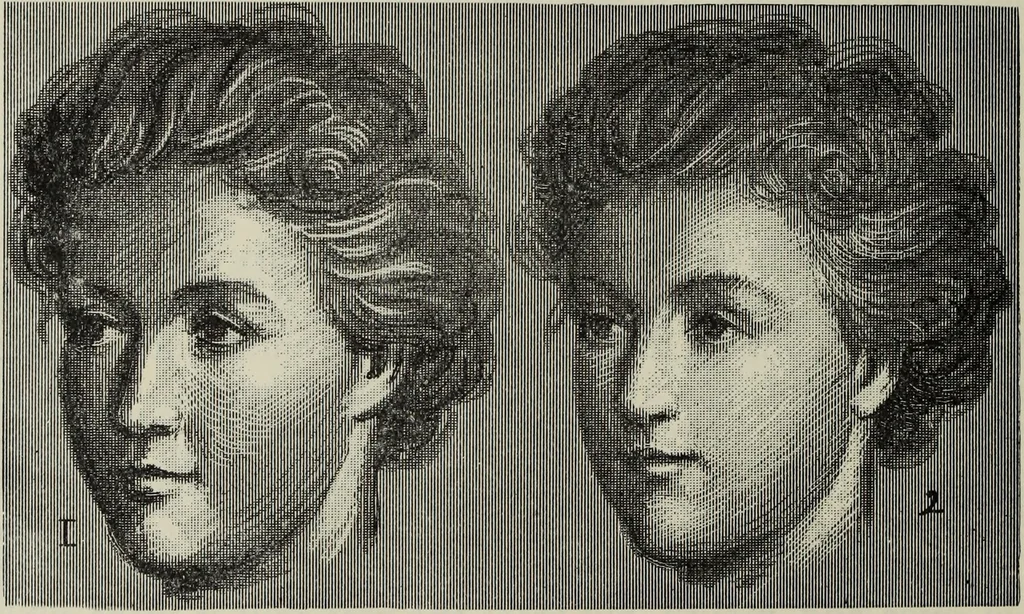An illustration from Analysis of drawing, painting and composing, 1904, leaf 139