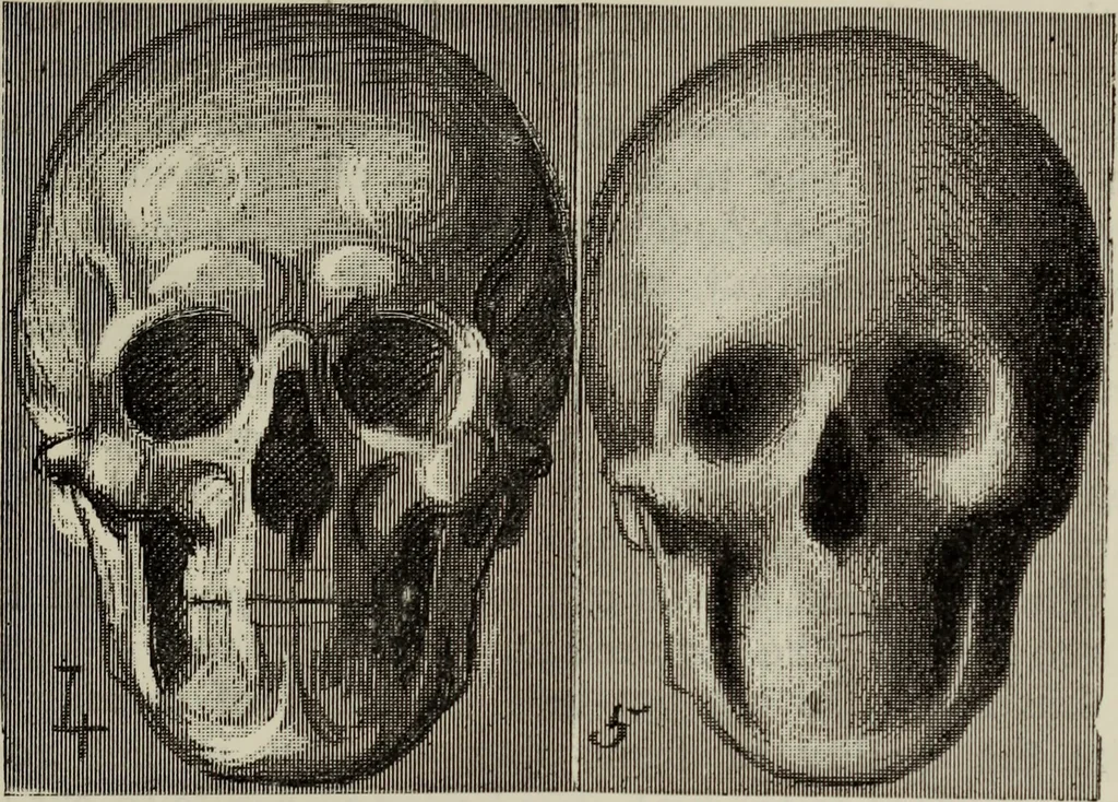 An illustration from Analysis of drawing, painting and composing, 1904, leaf 144