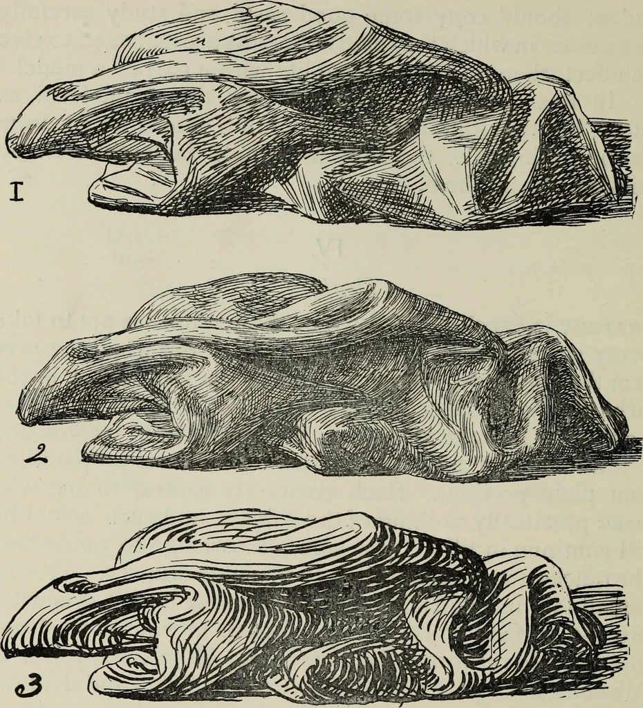 An illustration from Analysis of drawing, painting and composing, 1904, leaf 147