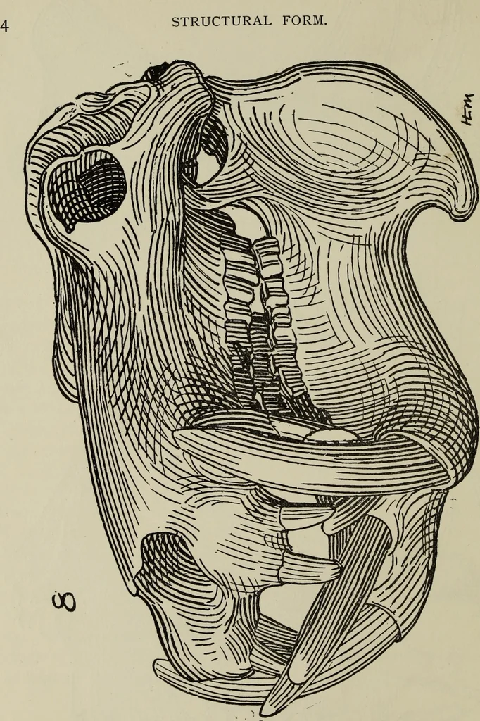 An illustration from Analysis of drawing, painting and composing, 1904, leaf 15