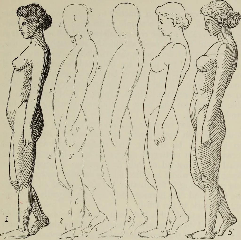 An illustration from Analysis of drawing, painting and composing, 1904, leaf 150