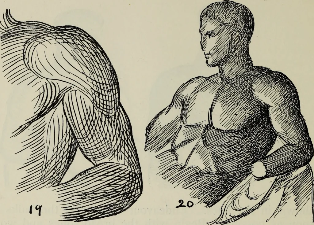 An illustration from Analysis of drawing, painting and composing, 1904, leaf 157