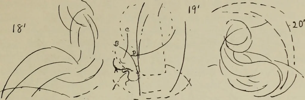 An illustration from Analysis of drawing, painting and composing, 1904, leaf 172