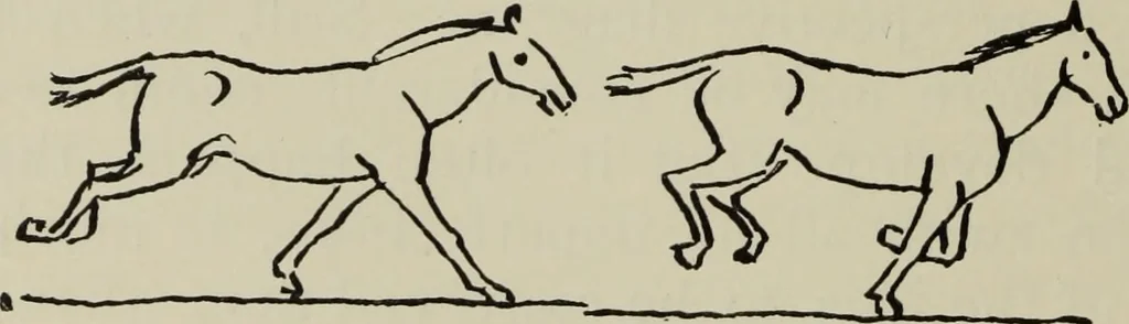 An illustration from Analysis of drawing, painting and composing, 1904, leaf 175