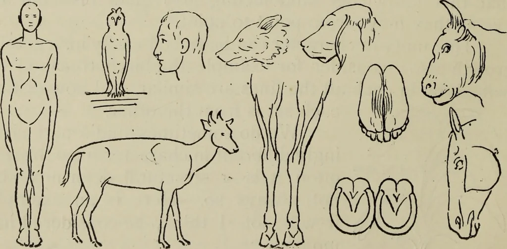 An illustration from Analysis of drawing, painting and composing, 1904, leaf 29