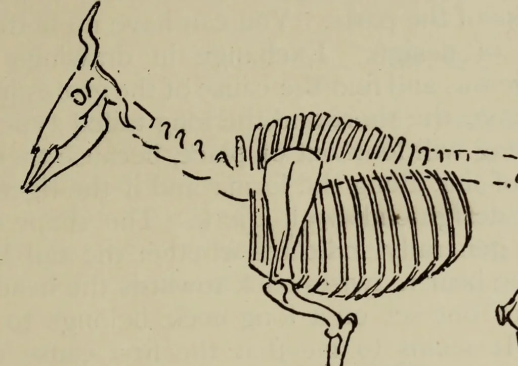 An illustration from Analysis of drawing, painting and composing, 1904, leaf 34