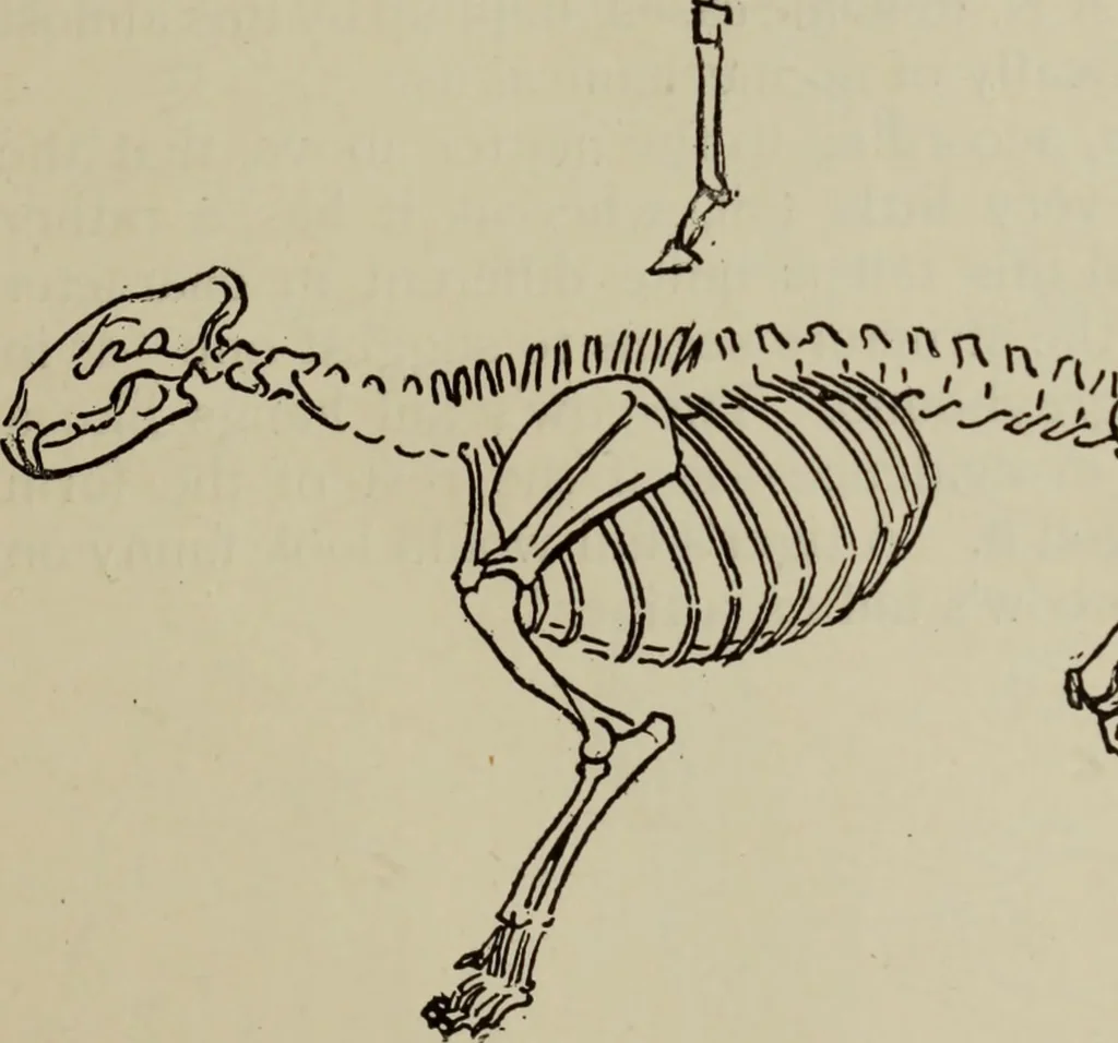 An illustration from Analysis of drawing, painting and composing, 1904, leaf 34