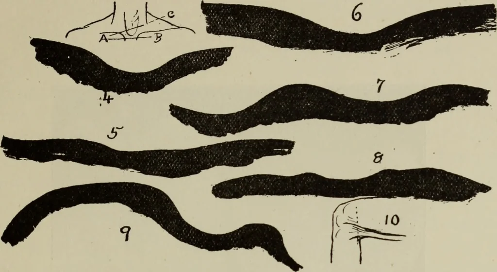 An illustration from Analysis of drawing, painting and composing, 1904, leaf 40