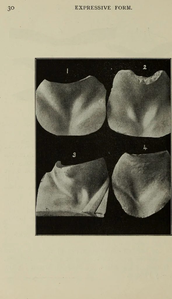 An illustration from Analysis of drawing, painting and composing, 1904, leaf 41