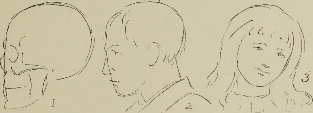 An illustration from Analysis of drawing, painting and composing, 1904, leaf 64