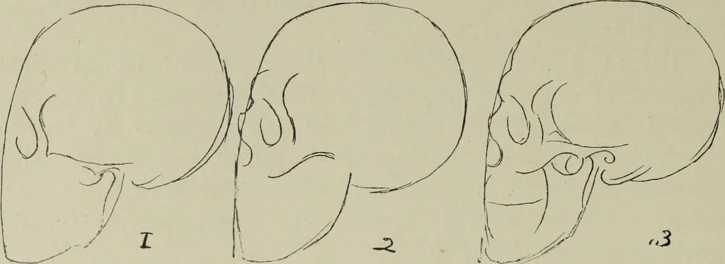 An illustration from Analysis of drawing, painting and composing, 1904, leaf 81
