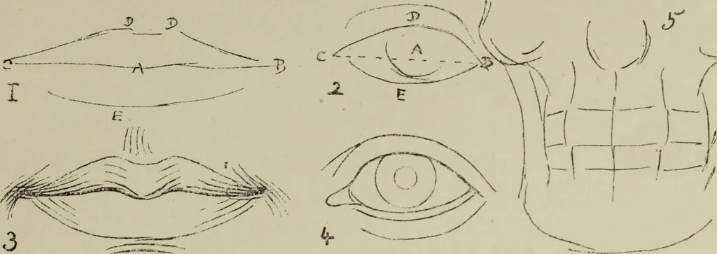 An illustration from Analysis of drawing, painting and composing, 1904, leaf 88