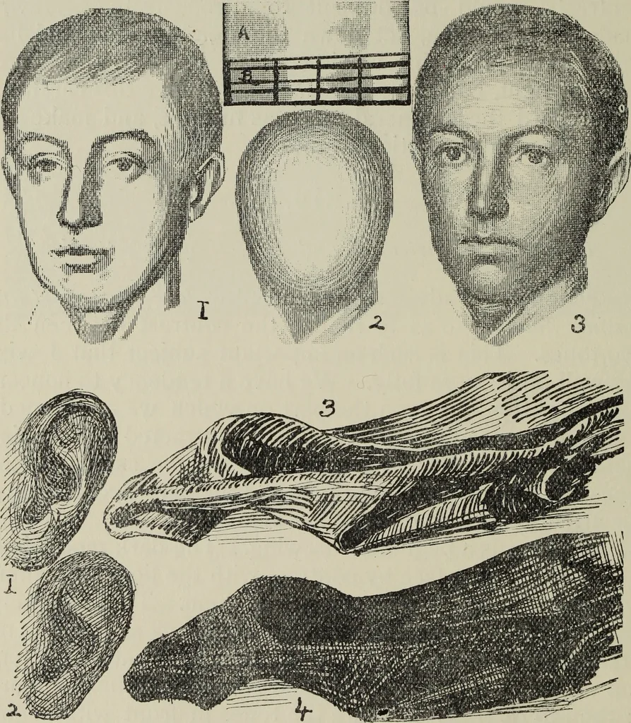 An illustration from Analysis of drawing, painting and composing, 1904, leaf 99
